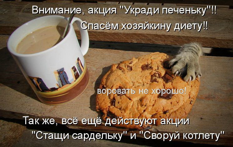 Спасём хозяйкину диету!!!